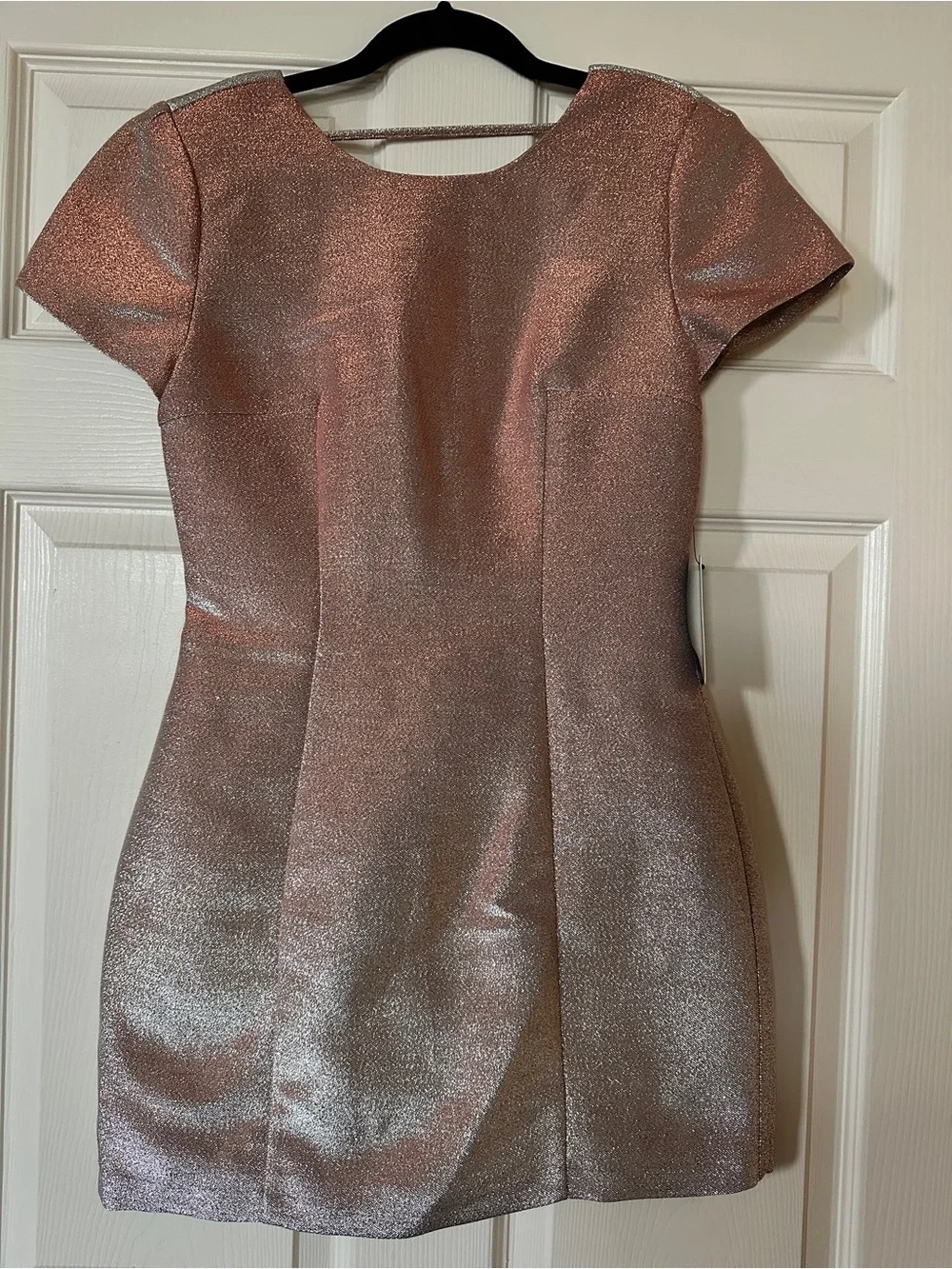 Express Rose Gold Deep V Short Sleeve Party Dress
